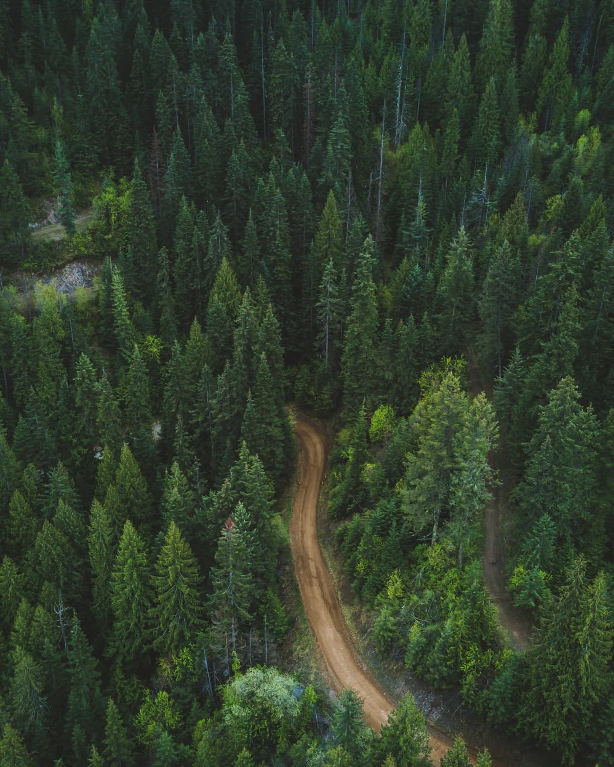 We're on a mission to make forestry operations more efficient and sustainable.